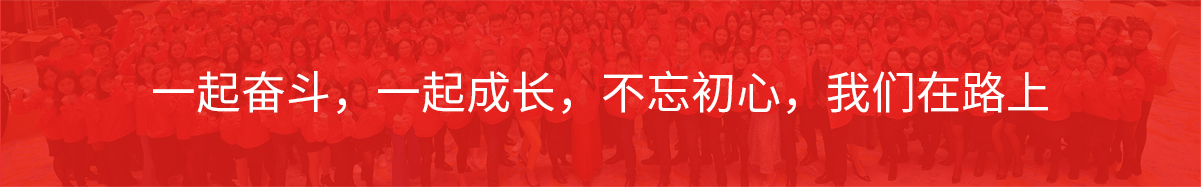 长春网站排名